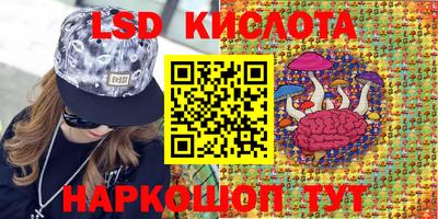 крисы Дубна