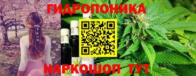 крисы Дубна