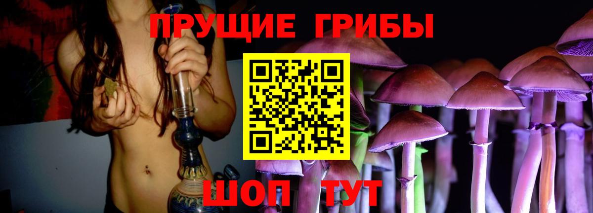 Галлюциногенные грибы Psilocybine cubensis Лангепас